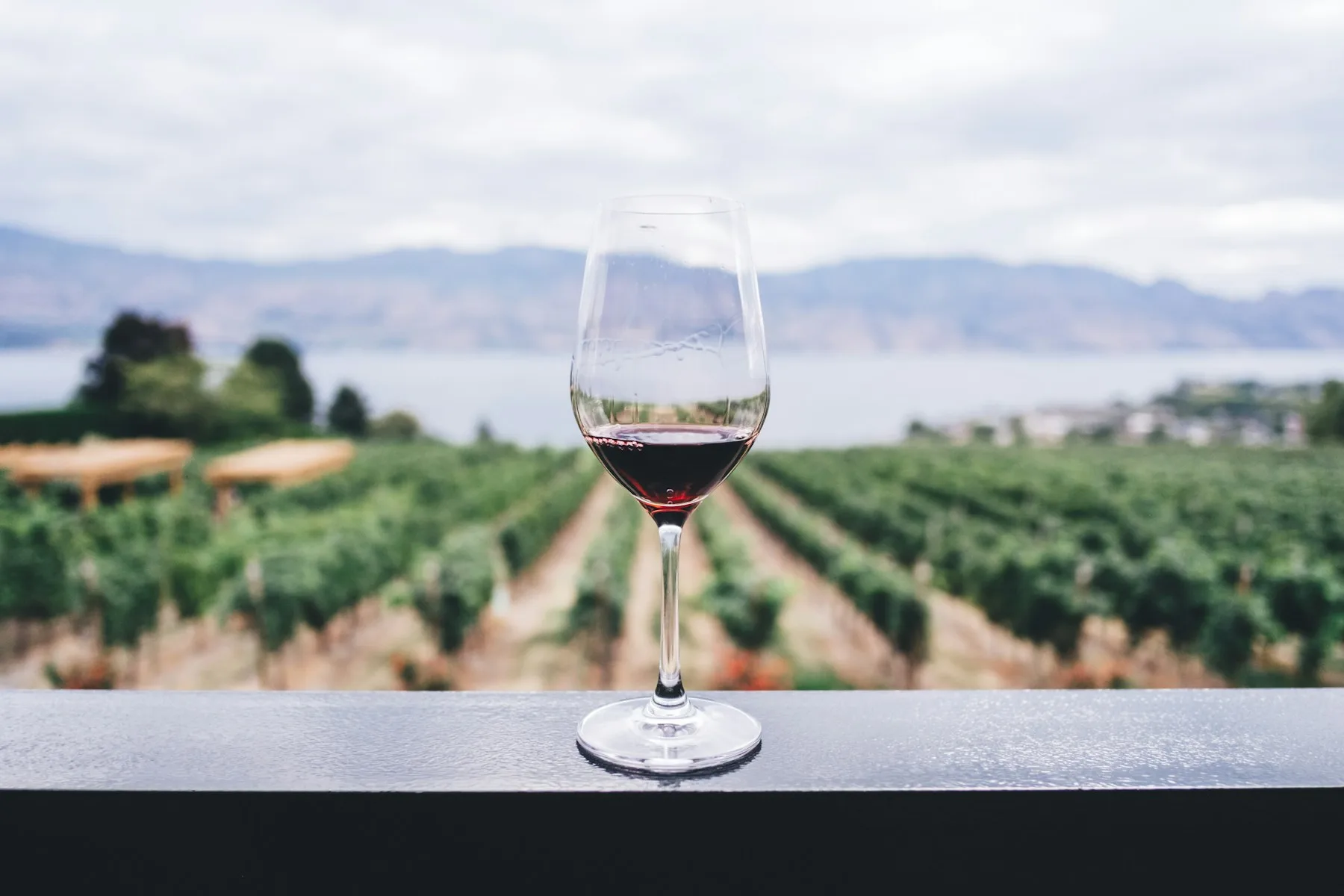 Wine poured into a glass at a table